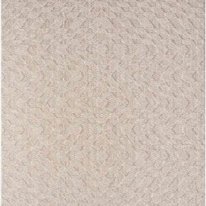 İskandinav Toz Tutmayan Halı BALIATI