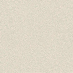 Einzelblatt     Kol:3740