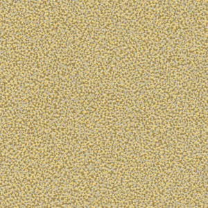 Einzelblatt     Kol:3740