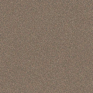 Einzelblatt     Kol:3740