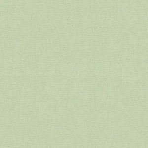 Attractive      Kol:3930