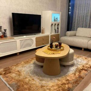 Modern ve Klasik Desenli Salon Halısı ROSADA